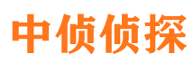 桂阳市调查公司